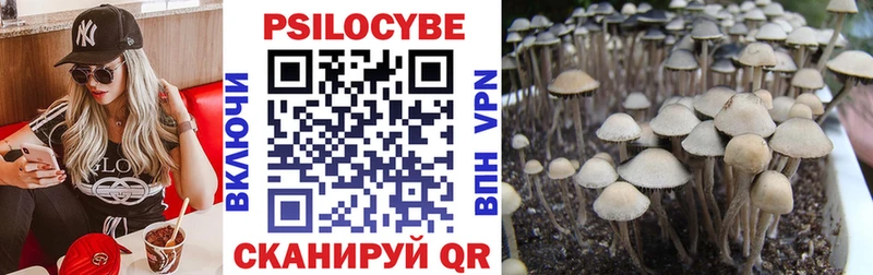 Галлюциногенные грибы Cubensis  это клад  Комсомольск 